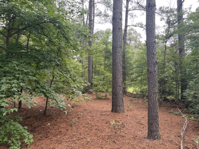 East Texas Hunting & Timber Acreage With Homesites - image 16