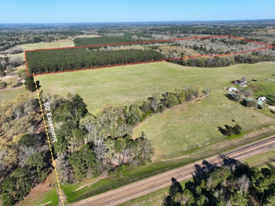 East Texas Hunting & Timber Acreage With Homesites - image 8