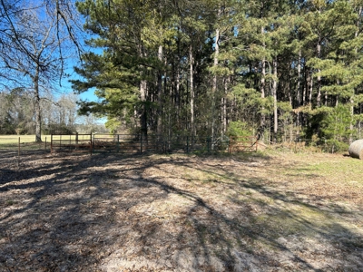 East Texas Hunting & Timber Acreage With Homesites - image 10