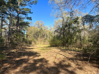 East Texas Hunting & Timber Acreage With Homesites - image 1