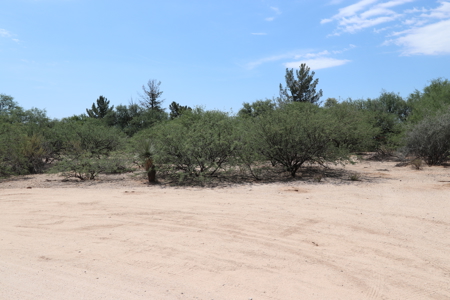 Commercial Property On Hwy 80 Benson, Az - image 4