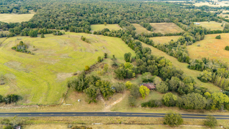 10 + Acres in Pickton Hopkins County Texas - No Restrictions - image 2