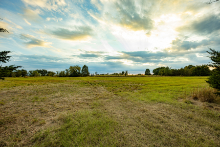 10 + Acres in Pickton Hopkins County Texas - No Restrictions - image 14