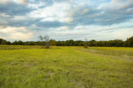 10 + Acres in Pickton Hopkins County Texas - No Restrictions - image 9