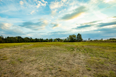 10 + Acres in Pickton Hopkins County Texas - No Restrictions - image 4