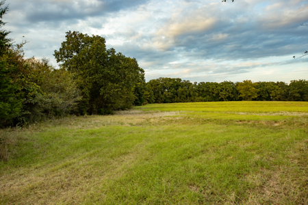 10 + Acres in Pickton Hopkins County Texas - No Restrictions - image 13
