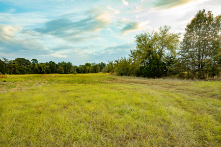 10 + Acres in Pickton Hopkins County Texas - No Restrictions - image 12