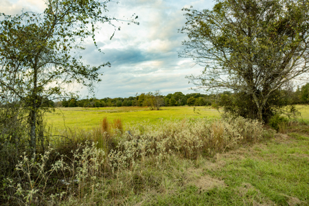 10 + Acres in Pickton Hopkins County Texas - No Restrictions - image 7