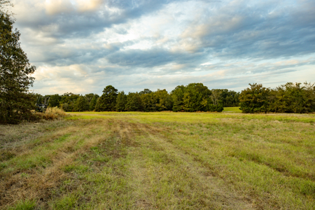 10 + Acres in Pickton Hopkins County Texas - No Restrictions - image 11