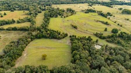 10 + Acres in Pickton Hopkins County Texas - No Restrictions - image 19