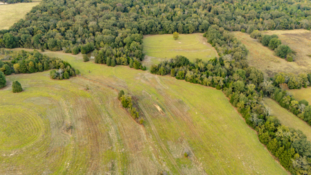 10 + Acres in Pickton Hopkins County Texas - No Restrictions - image 3