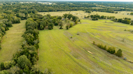 10 + Acres in Pickton Hopkins County Texas - No Restrictions - image 20