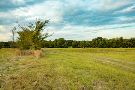 10 + Acres in Pickton Hopkins County Texas - No Restrictions - image 10