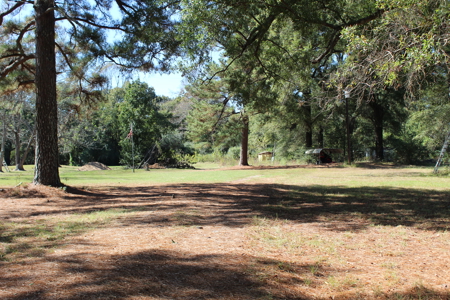 26 Acres of Wooded Beauty with Homesite For Sale in Hooks, Texas - image 1