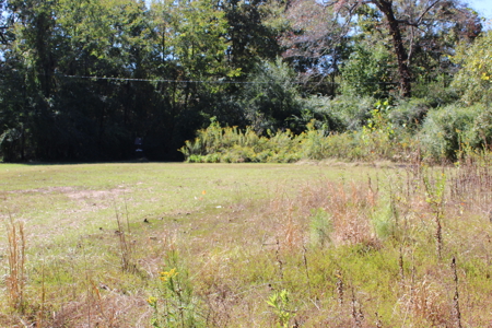 26 Acres of Wooded Beauty with Homesite For Sale in Hooks, Texas - image 3