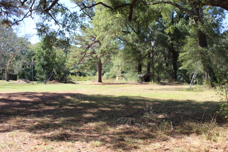 26 Acres of Wooded Beauty with Homesite For Sale in Hooks, Texas - image 2