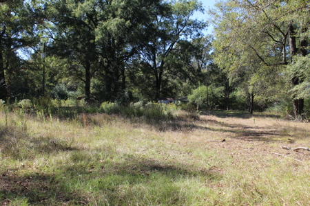 26 Acres of Wooded Beauty with Homesite For Sale in Hooks, Texas - image 4