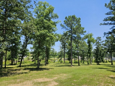 Build Your Dream Home on the Water - 3 Lots For Sale - image 3