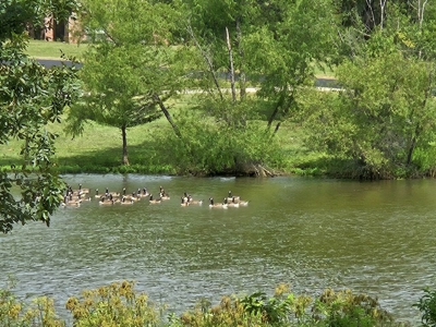 Build Your Dream Home on the Water - 3 Lots For Sale - image 1