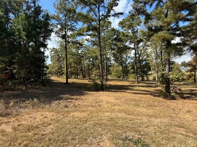 Build Your Dream Home on the Water - 3 Lots For Sale - image 5