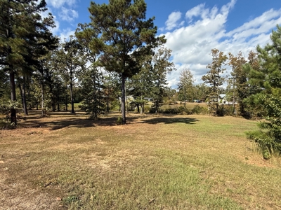 Build Your Dream Home on the Water - 3 Lots For Sale - image 4