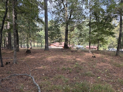 Beautiful Home with 6.6 Acres Near Millwood Lake! - image 15