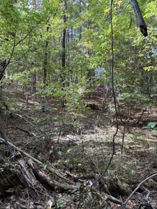 Beautiful Home with 6.6 Acres Near Millwood Lake! - image 17