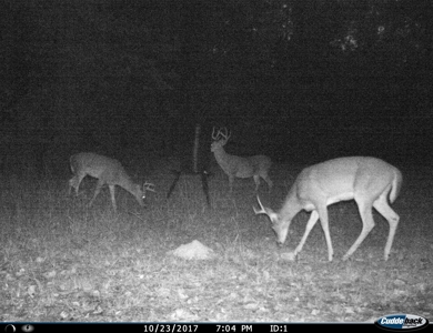 Beautiful Home with 6.6 Acres Near Millwood Lake! - image 8