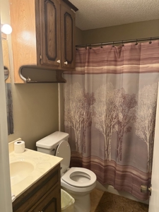 Beautiful Home with 6.6 Acres Near Millwood Lake! - image 28