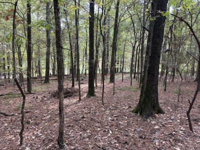 Beautiful Home with 6.6 Acres Near Millwood Lake! - image 18