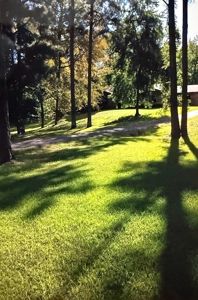 Beautiful Home with 6.6 Acres Near Millwood Lake! - image 2