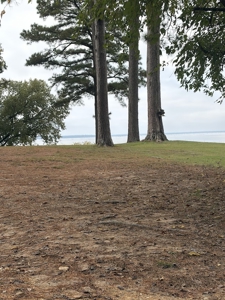 Beautiful Home with 6.6 Acres Near Millwood Lake! - image 20