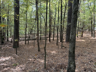 Beautiful Home with 6.6 Acres Near Millwood Lake! - image 19