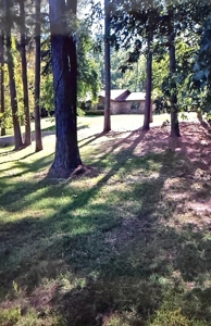 Beautiful Home with 6.6 Acres Near Millwood Lake! - image 1