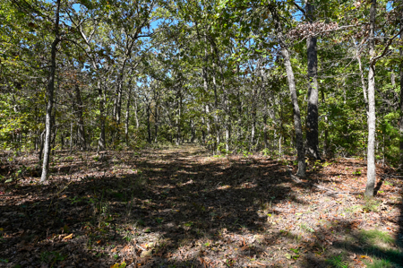 Country Home With 114 Acres For Sale-Hickory County, Mo - image 29