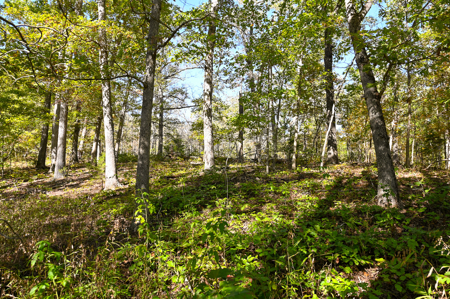 Country Home With 114 Acres For Sale-Hickory County, Mo - image 36