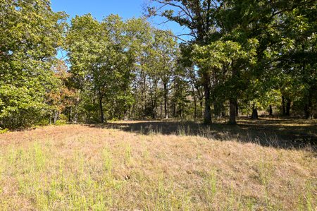 Country Home With 114 Acres For Sale-Hickory County, Mo - image 32