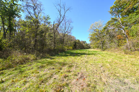 Country Home With 114 Acres For Sale-Hickory County, Mo - image 41
