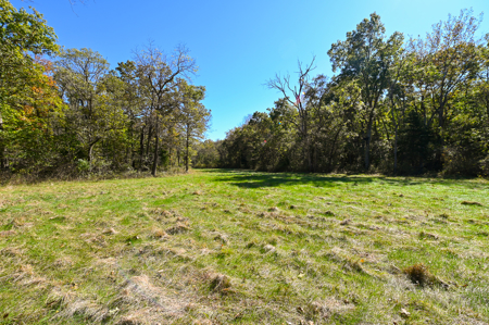 Country Home With 114 Acres For Sale-Hickory County, Mo - image 39