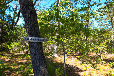 Country Home With 114 Acres For Sale-Hickory County, Mo - image 33