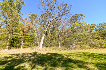 Country Home With 114 Acres For Sale-Hickory County, Mo - image 40