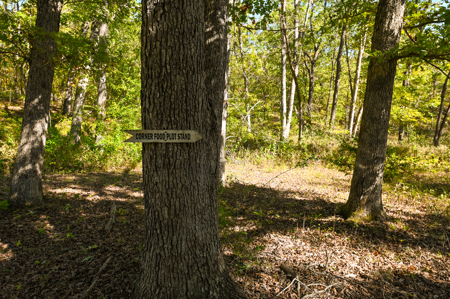 Country Home With 114 Acres For Sale-Hickory County, Mo - image 34