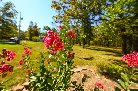 Country Home With 114 Acres For Sale-Hickory County, Mo - image 10