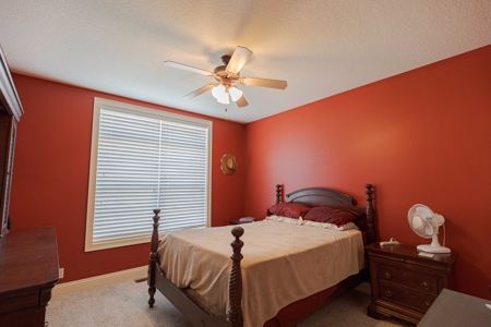 Beautiful Home for Sale in Lamar, MO, Barton County MO - image 19