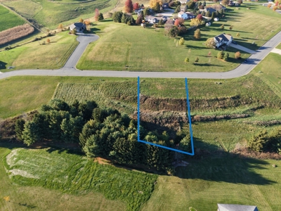 Lot 40 For Sale With Golf Course Access Viroqua WI - image 3