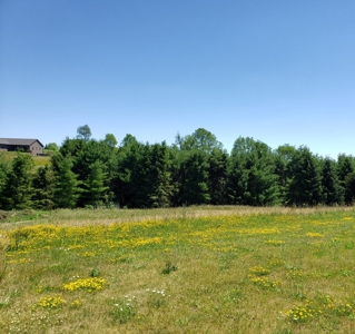 Lot 40 For Sale With Golf Course Access Viroqua WI - image 4