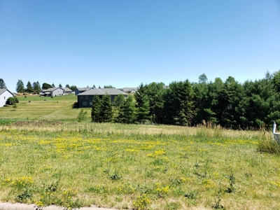 Lot 40 For Sale With Golf Course Access Viroqua WI - image 10