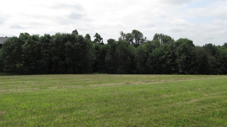 Lot 40 For Sale With Golf Course Access Viroqua WI - image 11