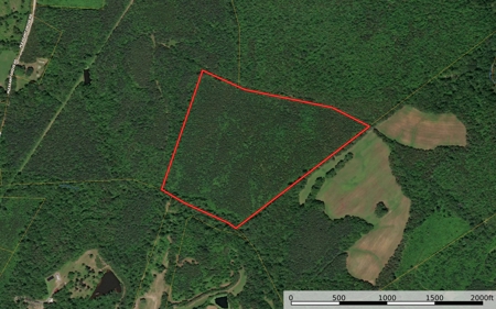 60 Ac Secluded Hunting Land In Lunenburg County, Va - image 4