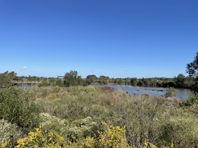 40 Acres on Vermillion River in Abbeville, LA - image 3